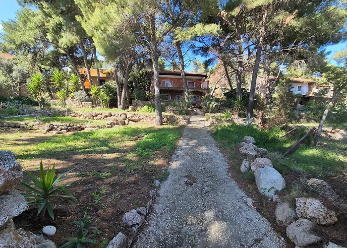 Zavala 8774b Lägenhet Jelsa (Hvar)