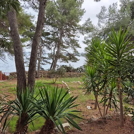 Apartament Zavala 8774b