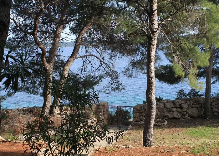 Διαμέρισμα Zavala 8774b